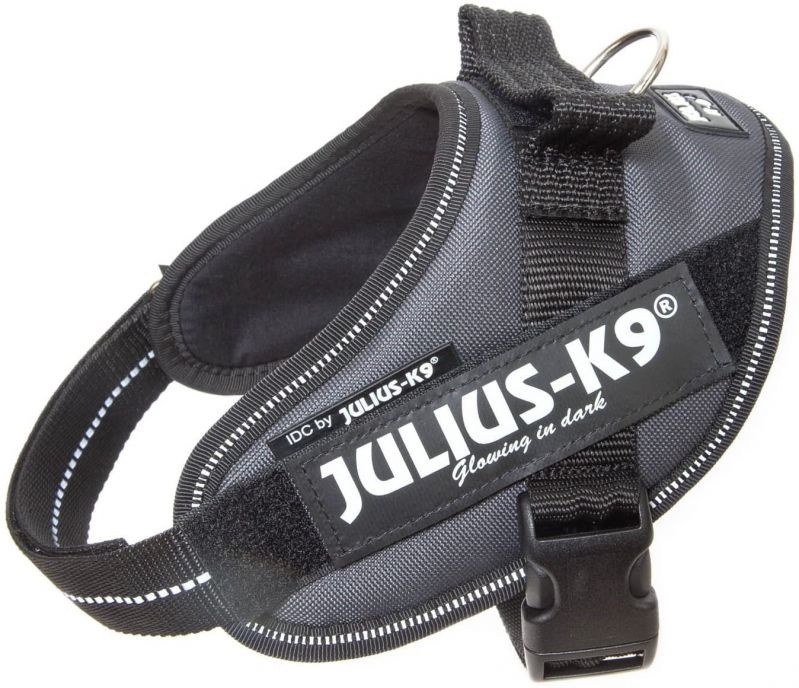 Julius-K9 IDC Powerharness Dog Harness for small dogs for sale