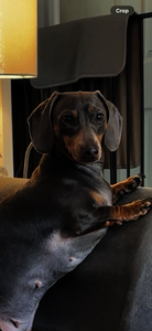 Sally