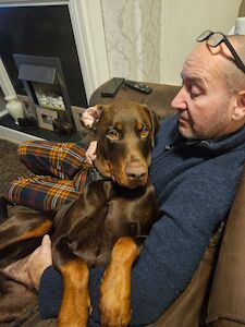 allan thomson - Licensed Dachshund Breeder