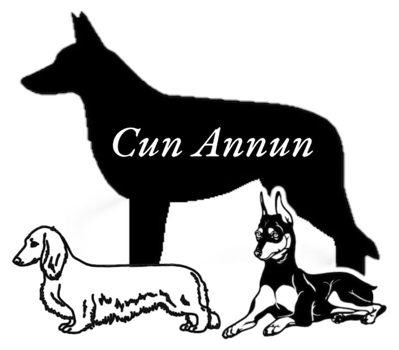 Stefanie S Millington - Licensed Dachshund breeder