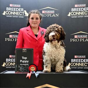 ELIZAD - Licensed Breeder