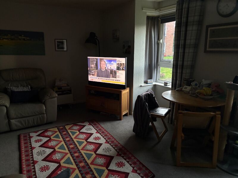 Louise Bourne - View user profile on Dachshund Owners - Image 1
